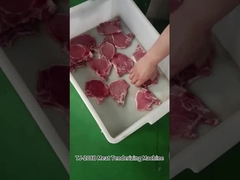 Maschine zur Fleisch-Knochen-Tenderung aus Edelstahl / Handelsgeräte für die Lockerung von Hamstrings
