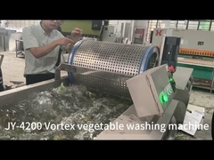 Ozon-Obst- und -Gemüse-Blasenreinigungsmaschine für die Salatverarbeitung