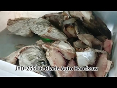 6-Klingen-Automatische vertikale Bandsäge-Maschine zum Schneiden von gefrorenem Fisch mit Touchscreen-Steuerung