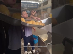 12 Schneidestationen Zentrifugal Kartoffelchips Schneidmaschine mit hervorragenden Ergebnissen