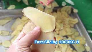 1000 kg/h Zentrifugalschneidemaschine