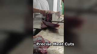 Fleischbandsäge Präzisionsschneiden JY 420